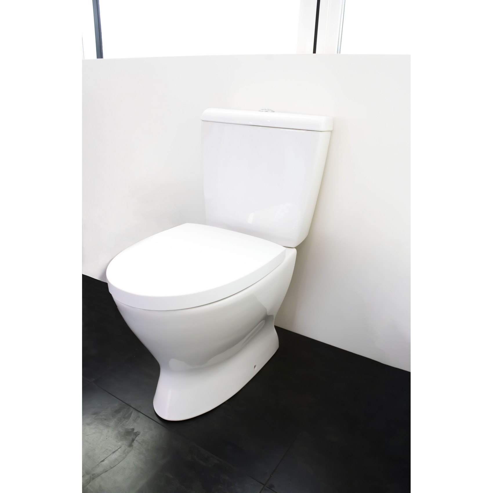 WC MONOBLOQUE, DESAGÜE DE PARED CONVERTIBLE A SUELO MEDIANTE CURVA TÉCNICA, ASIENTO EXCLUIDO, FIJACIONES INCLUIDAS